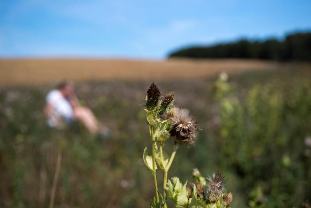Naturvärdesinventering Maglehill i Höör Per Nyström, Marika