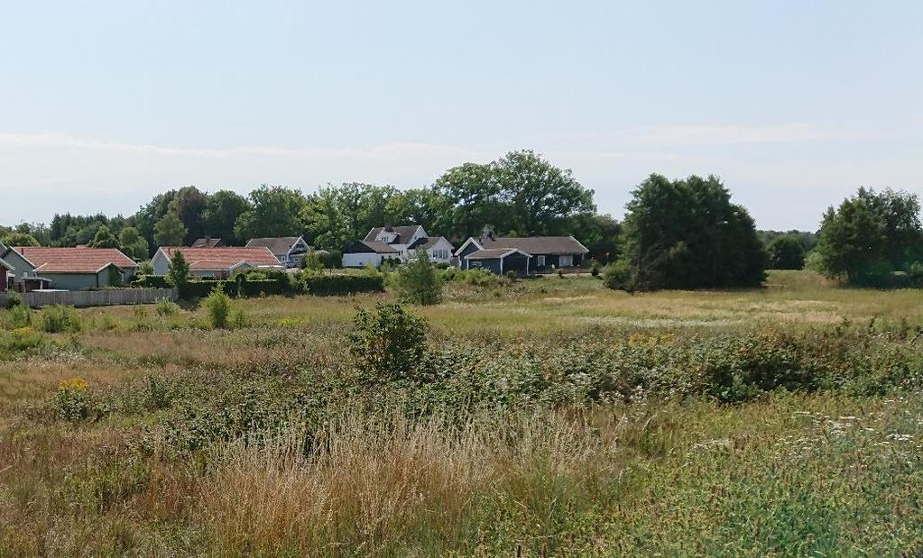 Figur 7. Naturvärdesobjekt 2, uttorkningsbenäget våtmarksområde. Objekt 3. Igenväxningsmark - öppen blomrik torrmark Objektet utgörs av öppen torrare blomrik gräsmark, med inslag av några buskage.