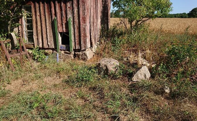 Objekt 9. Äldre gårdsmiljö lång kontinuitet Objektet är en förfallen går med huvudbyggnad, stallar, trädgård, stengrunder och med resterna av en lindallé (figur 13).