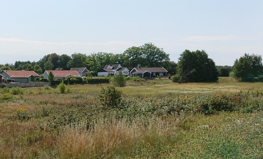 stora. Figur 7. Uttorkningsbenägen våtmark (Naturvärdesobjekt 2, figur 1).