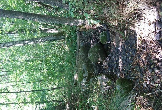 4. Vattendrag naturlig bäck i skogsmiljö Vattendraget är bara någon meter brett och helt omgärdat av äldre alskog.