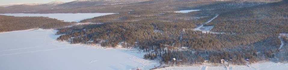 Området ligger inom norra barrskogsregionen med total dominans av tallskog.