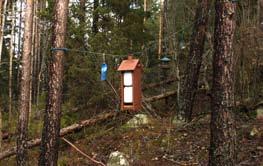 106 Det sörmländska fågelåret 2013 Tärnans fågelmatningar Mata fåglar vintertid är vi många som gör och vi gör det nog av dubbla syften.