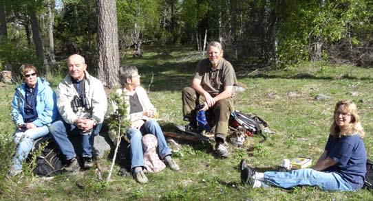 120 Det sörmländska fågelåret 2013 klingande knäppningar, som accelerera och så plötsligt övergå i en virvlande ringning sipp sipp sipp-sipp-sipp sirr-rrrrrrr!