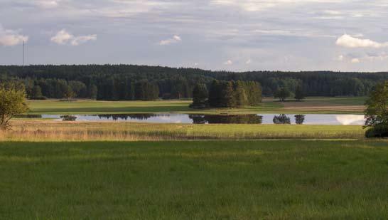 Skådning kan ske från landsvägskanten, eller genom att ta en promenad runt våtmarken ner till den södra ändan, vilket kan rekommenderas om man är där en solig dag och mitt på dagen.