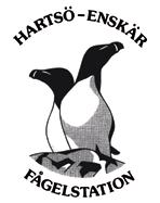 60 Det sörmländska fågelåret 2013 Meddelande nr 81 från Hartsö-Enskär fågelstation Hösten 2013 genomfördes verksamhet med ringmärkning mellan 15:e september och 20:e oktober.