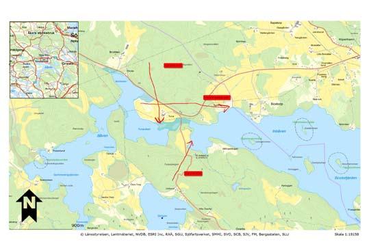 90 Det sörmländska fågelåret 2013 Trianguleringsövning för storlom Under augusti 2013 genomförde lomgruppen några försök att med hjälp av triangulering försöka få en uppfattning om lommarnas rörelse