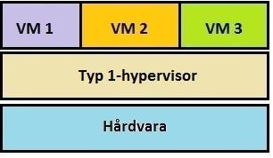 Figur 2.1: Struktur för typ 1-hypervisor 2.4.