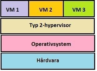Denna typ av hypervisor är inte lika känslig vad gäller den underliggande hårdvaran eftersom det är det underliggande värdoperativsystemet som ansvarar för hårdvarudrivrutinerna.