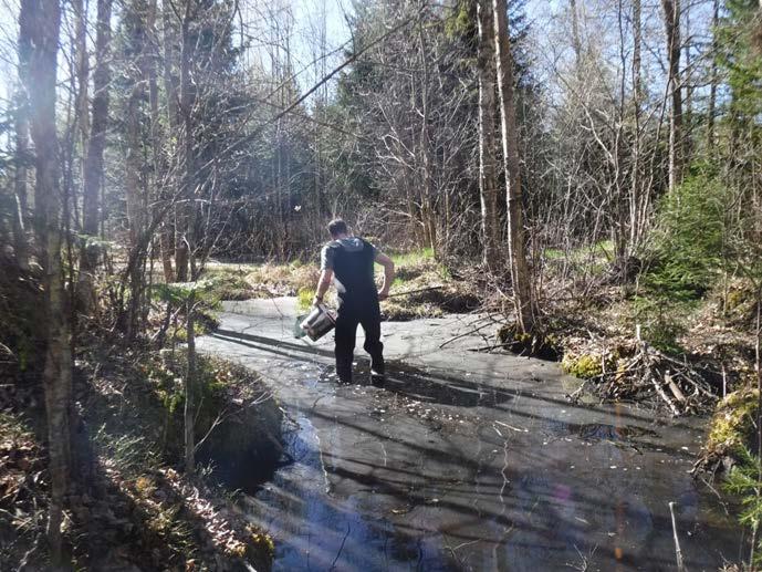 övervintringsplats och sommarhabitat för groddjur då det finns