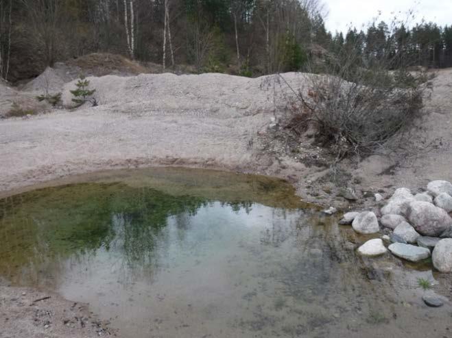 Området runt omkring dammarna består till stor del av en öppen grustäckt, men en utav dammarna ligger nära en skogsdunge som