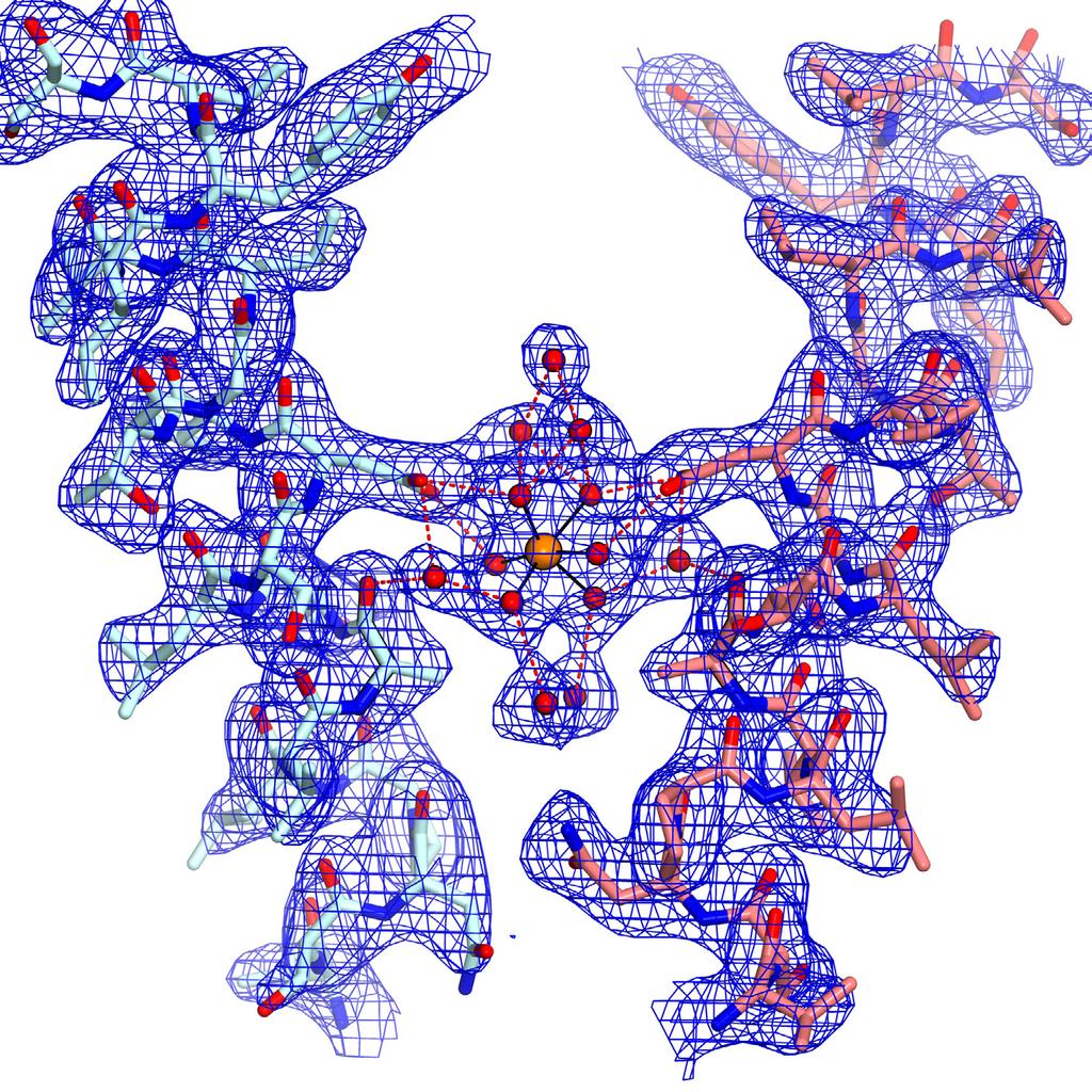 Supplementary Information Asp432 M1 site Asp432 Asp432 Asp432 M1 site Supplementary Figure 1 The electron density maps of the M1 site of MgtE