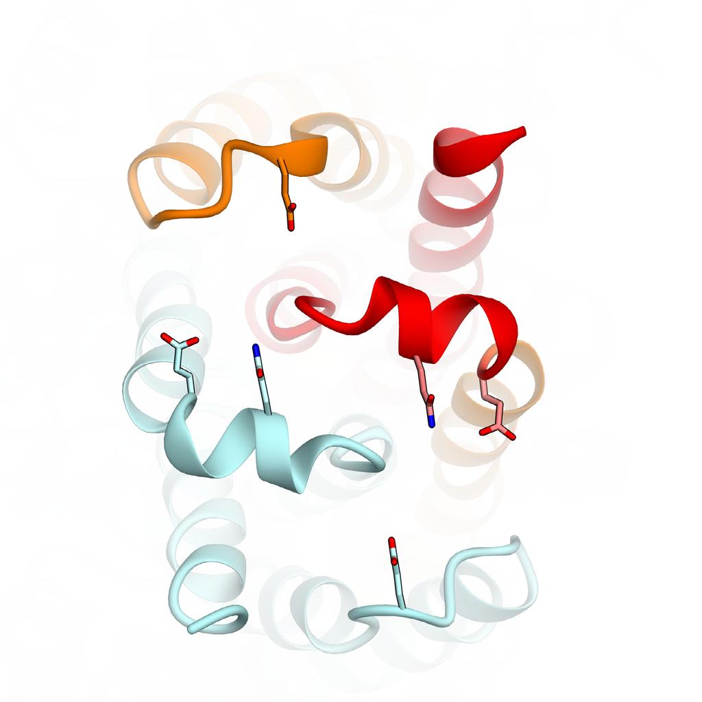 4 Normalized caiton uptake 1 d 4 Mn2+ uptake (μmol mg-1 protein min-1) Mg2+ uptake (μmol mg-1 protein min-1) 12 W b Supplementary Figure 8 Predicted structure and liposome-based assay of MgtE from