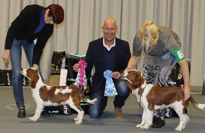 BIM VALP II Twinkle Can't Get Enough e. Don's Personal Jesus u. Don's Course Jo Twinkle BIS JUNIOR Twinkle Anything You Want e. Multi Winner Benton Under Oath u.