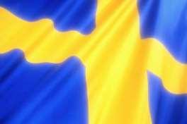 flagga/startljus Svart/vit