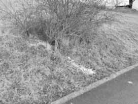 Jahrgang 39 Donnerstag, den 18. Februar 2016 Nummer 4 W W in und Ku Wipfelder Amtsblatt ZEHNTGRAFEN ZEHNTGRAFEN WEINWEG WEINWEG Amtlicher Teil Bürgerversammlung Am Donnerstag, 17.