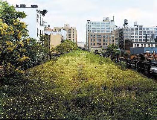 one-of-a-kind open space for the 21st Century 30 TH ST