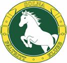 Solna Fältrittklubb Verksamhetsberättelse 2018 Klubbens värdegrund Med hästen och ridsporten i centrum för gemenskap, glädje, kunskap och respekt.