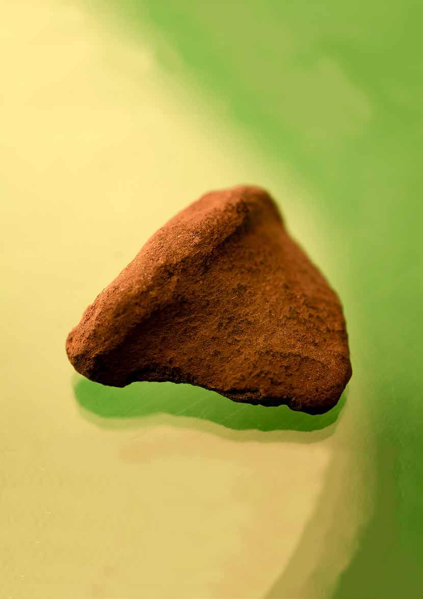 Bohusläns museum RAPPORT 2018:22