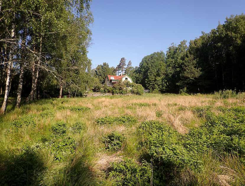8 Bohusläns museum Rapport 2018:22 Figur 4. Vy över västra delen av åkern på Resteröd 57.