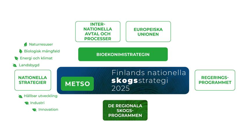 De viktigaste är den nationella bioekonomistrategin handlingsplanen för den biologiska mångfalden i skogarna i södra Finland (METSO) www.metsonpolku.