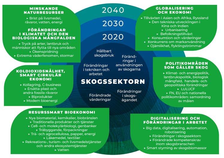 Omvärlden påverkas i allt högre grad av bland annat digitaliseringen, bekämpningen av och anpassningen till klimatförändringen, Asiens ökade betydelse, ansvarsfullheten och säkerställandet av