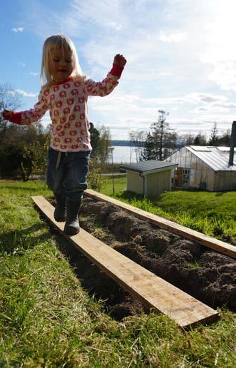 Efter några år i olika länder har Erik och Anna landat på sin ö och de uppskattar verkligen den miljö de bor i, skogen, bergen, sjöarna, havet och älven alldeles utanför huset. Vilka ingår i familjen?