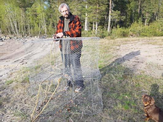 Nu har hon bott i Luleå i fem år, och har aldrig ångrat sitt beslut att bli en hemvändare.