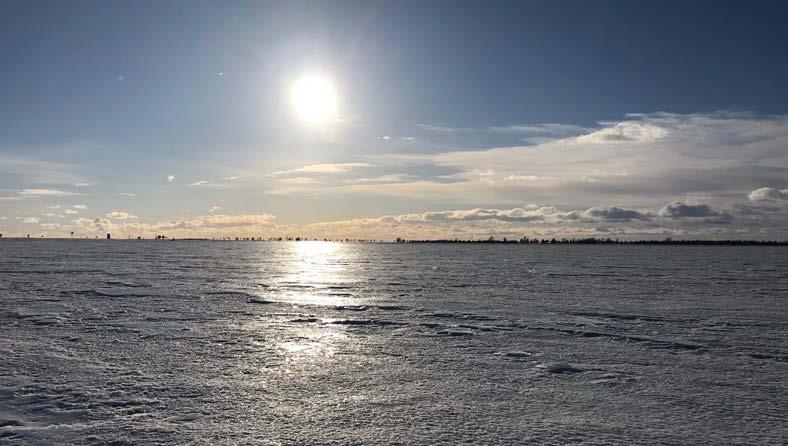 På sälmöte i Luleå Skärgård I månadsskiftet februari -mars åkte jag upp till Luleå för att delta på ett möte angående sälfrågorna i Sverige men med största inriktning på skyddsjakten.