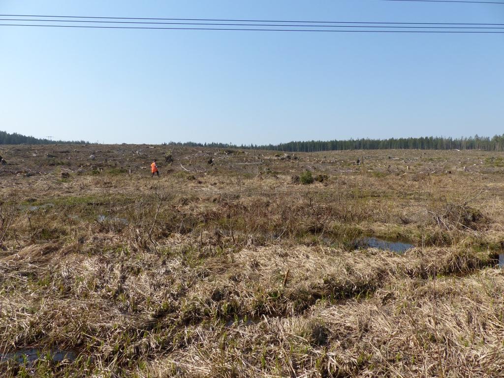 TOPOGRAFI OCH FORNLÄMNINGSMILJÖ Det aktuella utredningsområdet ligger cirka tre kilometer nordväst om Sandvikens centrum, och är beläget cirka 75 meter över havet.