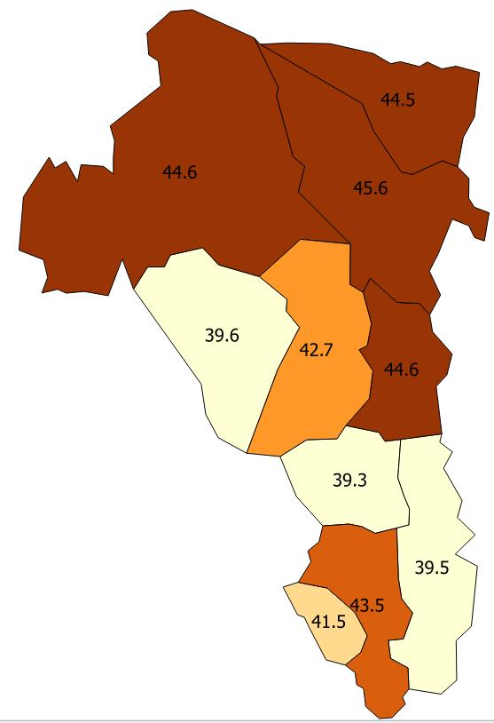 Långvarig sjukdom.