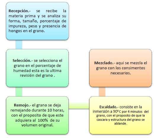 3.1.8. Proceso de la materia prima.