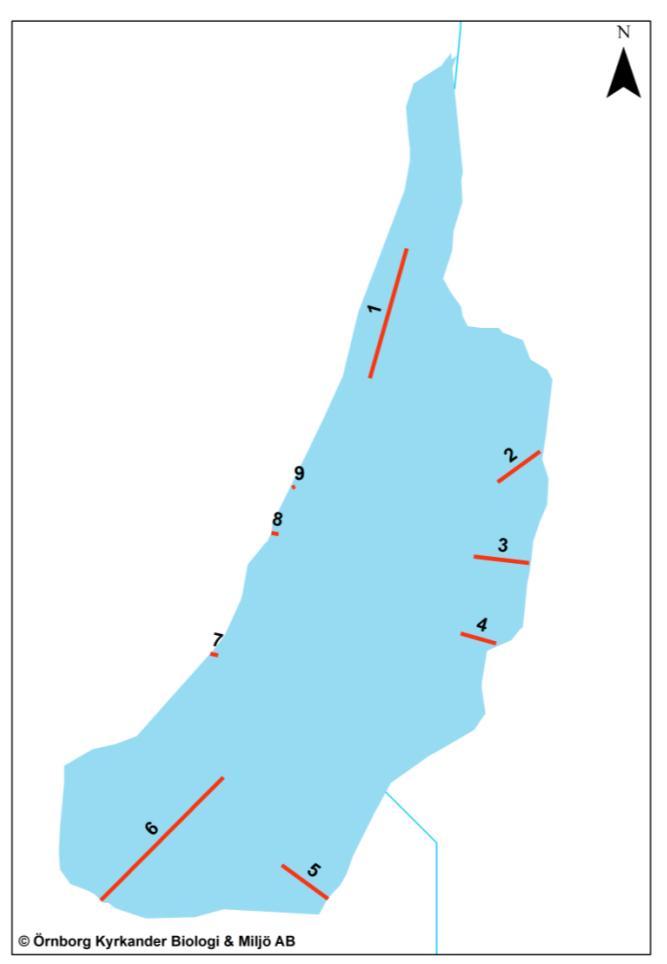 I området inventerades nio transekter som presenteras i figur 5. Start- och stoppkoordinat ses i tabell 3. Figur 5. Inventerade transekter i Lången. Tabell 3.