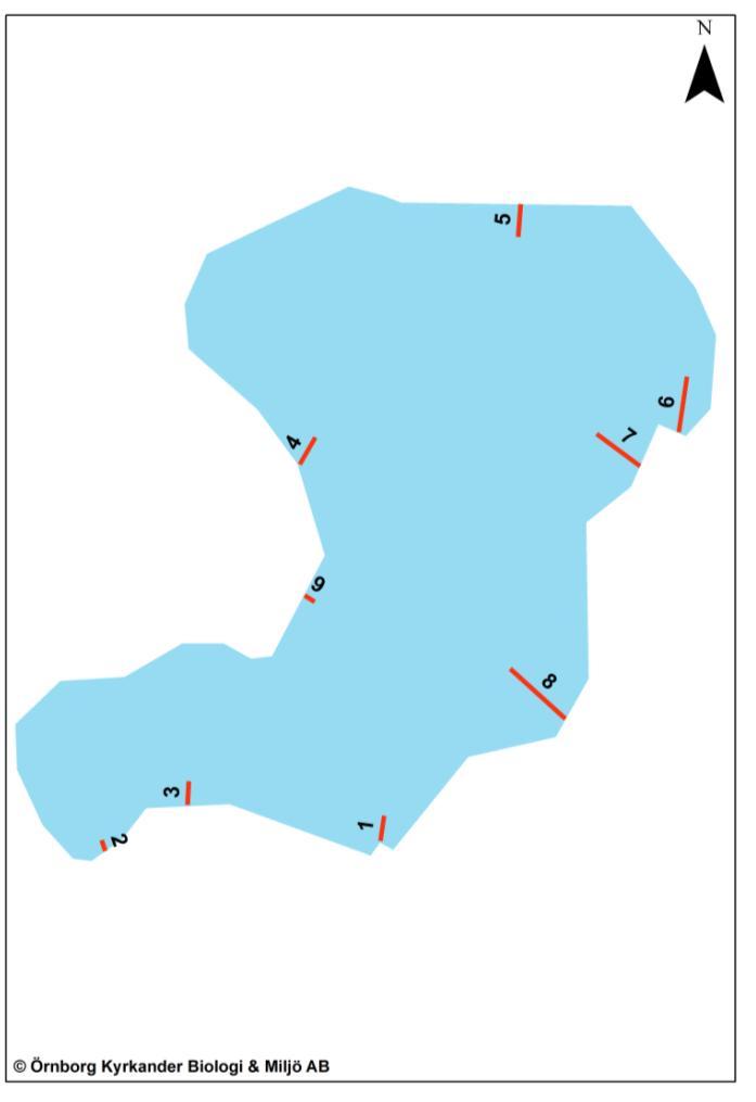 I området inventerades nio transekter som presenteras i figur 11. Start- och stoppkoordinat ses i tabell 7. Figur 11. Inventerade transekter i Mullsjön. Tabell 7.