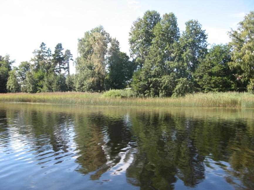 Stora och Lilla Vardsjön Inventeringen i Stora och Lilla Vardsjön är genomförd helt kvalitativt för att hitta så många arter som möjligt. Eftersom sjöarna är väldigt små har hela ytan inventerats.