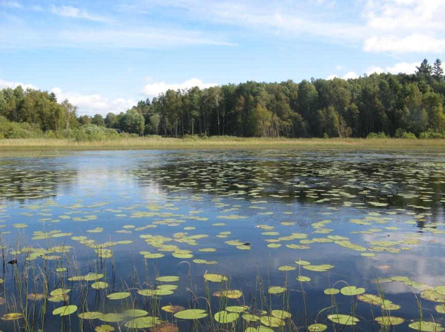 Stora Vardsjön inventerades med hjälp av båt men då lilla Vardsjön är svårtillgänglig (p g a breda vassar) och det inte var möjligt att lägga en båt i sjön, har denna sjö inventerats genom att