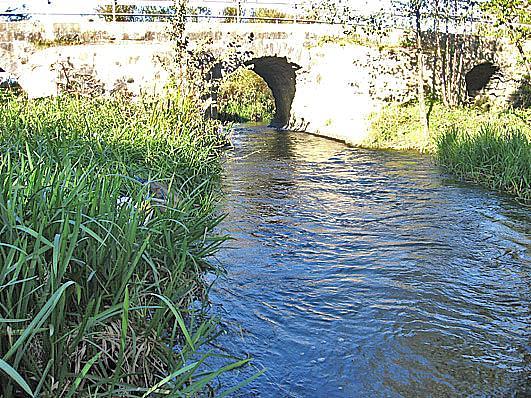 Bedömning av prov från 211-1-13 Bottenfauna i Österlenåar hösten 211 Vattensystem: Vattendrag/namn: Provpunktsbeteckning: TOMMARPSÅN Tommarpsån, Bjärsjö SKA-Tom4 Provdatum: Lokaltyp: Bäck 211-1-13