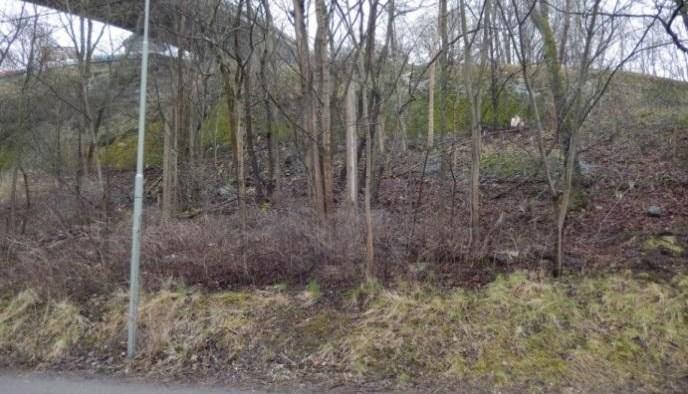 Sida 16 (45) Förutsättningar Natur Mark och vegetation Aktuellt område sträcker sig från Eolshäll till Sickla och passerar främst under park- och naturmark i Eolshäll, Vinterviken, vid Trekanten och