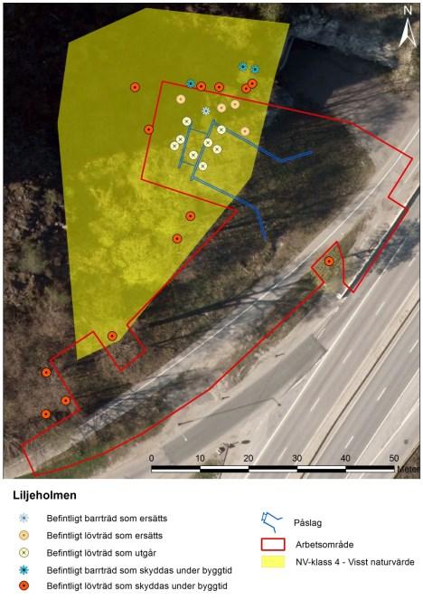 Sida 18 (45) Tunnelmynning och arbetsområde relaterat till naturvärde.