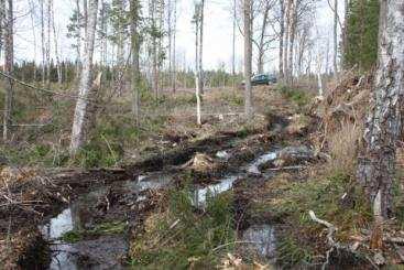 Metaller Skogsbränsleuttag förenligt med Giftfri miljö under vissa förutsättningar Förutsättningar: Körskador undviks (risken störst vid