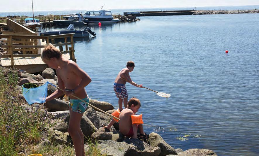 Foto: Jonte Göransson Ribbstolens Idrottssällskap Kontakt: Fredrik Danielsson Mobil:... 0702-38 47 53 nfdanielsson@gmail.com Rädda Barnen Sbg s lokalfören. Kontakt: Olle Sterner Mobil:.