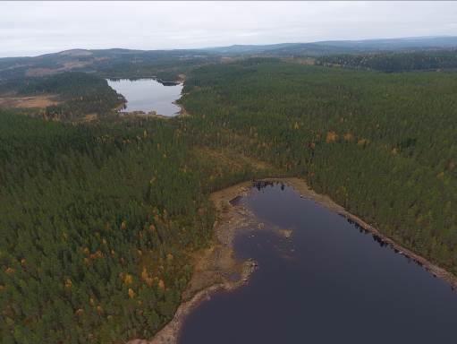 7 (20) 3 Dammarnas nuvarande utformning 3.1 Älgsjöns reglerdamm Dammen reglerar Älgsjön och utgörs av en långbyggd fyllningsdamm kombinerat med en utskovsdel av betong och stensättning.