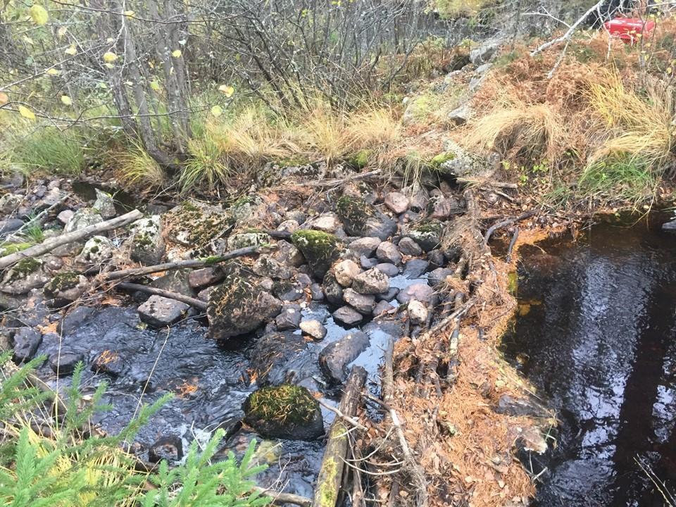 15 (20) Temporär fiskvandringsåtgärd I väntan på att dammen rivs ut föreslås att vissa åtgärder görs vid Ormräjtika för att underlätta för fiskvandringen.