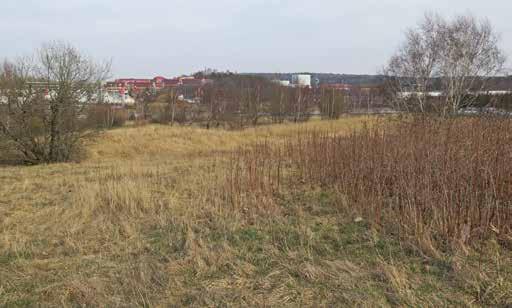 Bebyggelselämningar i Pilegården Figur 4. De norra, låglänta delarna av utredningsområde A mot Stora ån. Foto mot nordost.