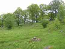 kartblad: 6C 4a Storlek:1ha 1,5ha