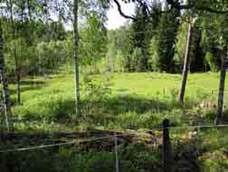 Mestadels är där en artrik rödvensfriskäng men det finns även högörtsfuktäng med mycket knapptåg i där det är blötare. Ängs- och hagmarksfloran är sparsam i antal och arterna är de lite alldagligare.