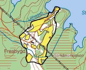 77 BJÖRKHAGAR VID FREABYGD Natúrtyp: Björkhagar och åkermark Klassificering: Klass 3 Ekonomiskt kartblad: 6C 6b Storlek:9ha LANDSKAP Vid Stora Hålsjöns västra strand, mitt inne i det småkuperade