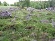 Nordväst och sydost om gården finns två små betesmarker som ligger i torra steniga backar.