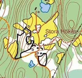 97 ÖPPNA BETESMARKER VID STORA HÖKÅS Natúrtyp: Öppen hagmark Klassificering: Klass 3 Ekonomiskt kartblad: 6C 7b Storlek:2ha LANDSKAP Norr om Stora och Lilla Hålsjön är landskapet kraftigt kuperat,