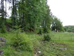 BESKRIVNING Omgiven av granskog ligger gården Hästebacka i en öppning och en av deras hagar ligger angränsande till skogen.